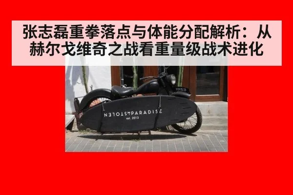 张志磊重拳落点与体能分配解析：从赫尔戈维奇之战看重量级战术进化